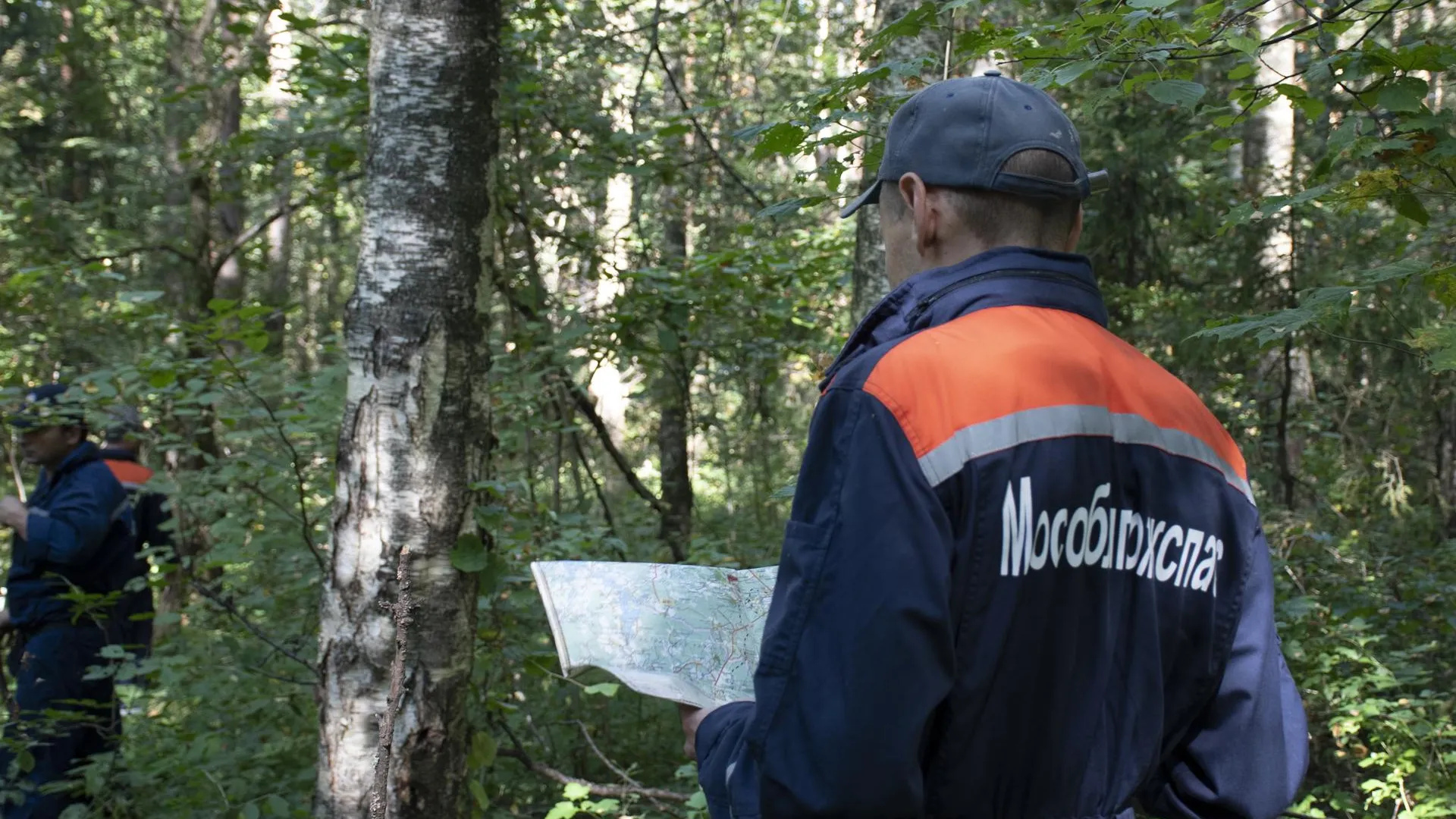 Фото: ГКУ МО «Мособлпожспас»