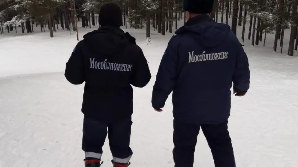 ГКУ МО «Мособлпожспас»