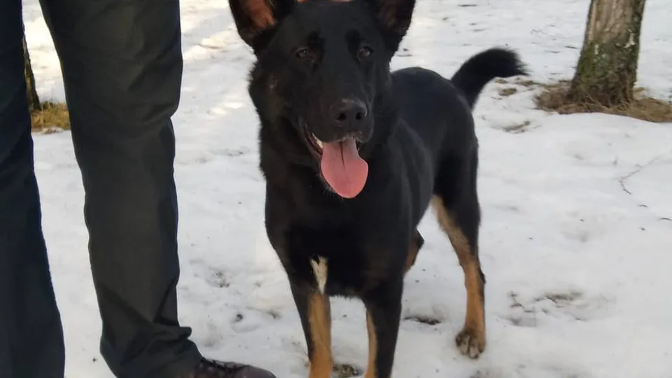 Фото: Ольга Гущина