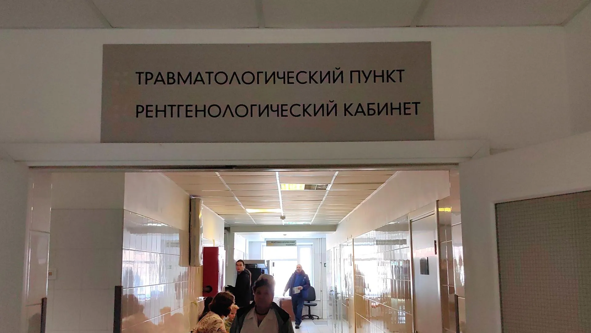 Елена Катасонова