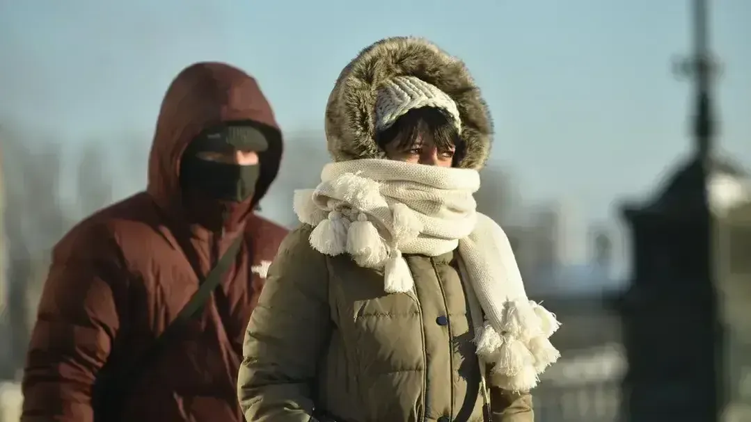 медиасток.рф