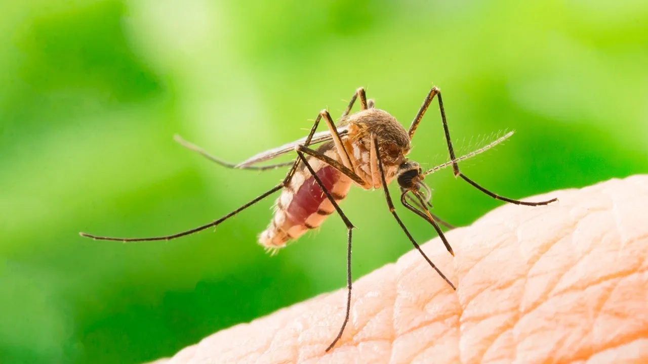 Фото: freepik.com