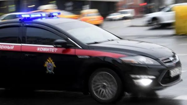 СК расследует смерть российского бойца MMA Александра Писарева