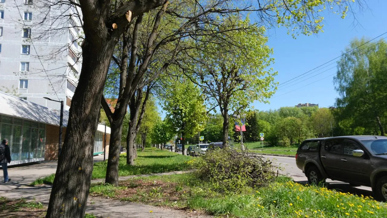 Фото: Мария Панина