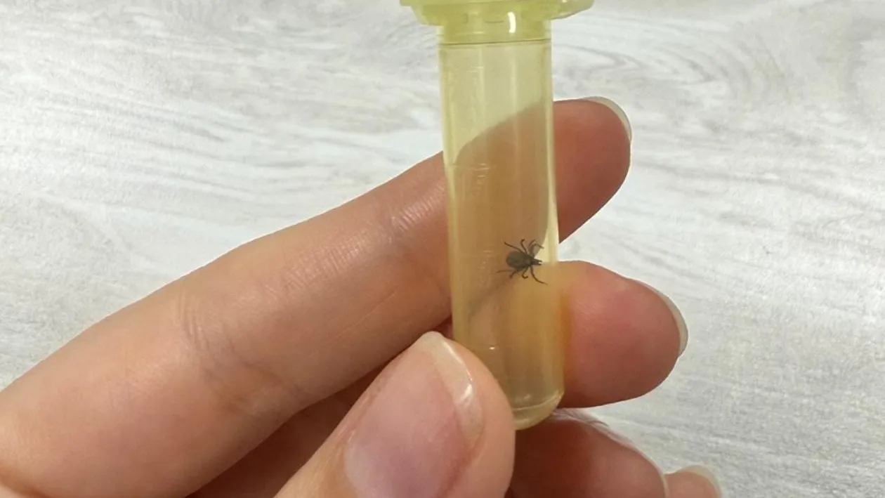 REGIONS/Александра Степанова