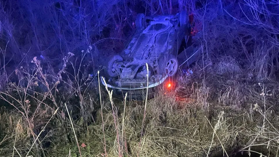 Фото: ГКУ МО «Мособлпожспас»