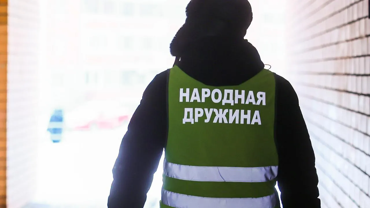 Свыше 90 преступлений помогли выявить дружинники Московской области в 2025 году