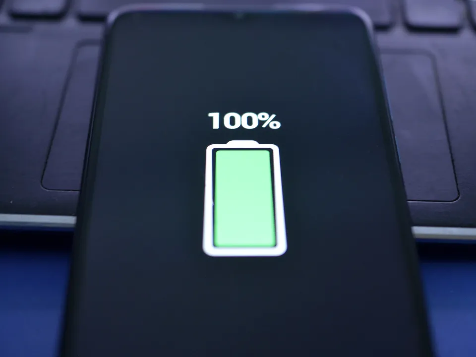 Фото: istockphoto.com/redstallion