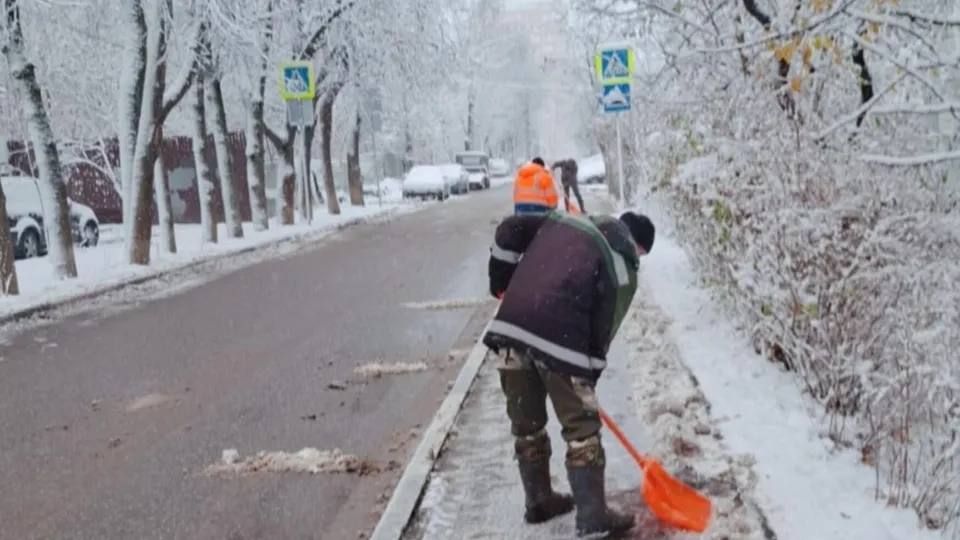 Фото: МедиаБанк Подмосковья/Хавива Фонина