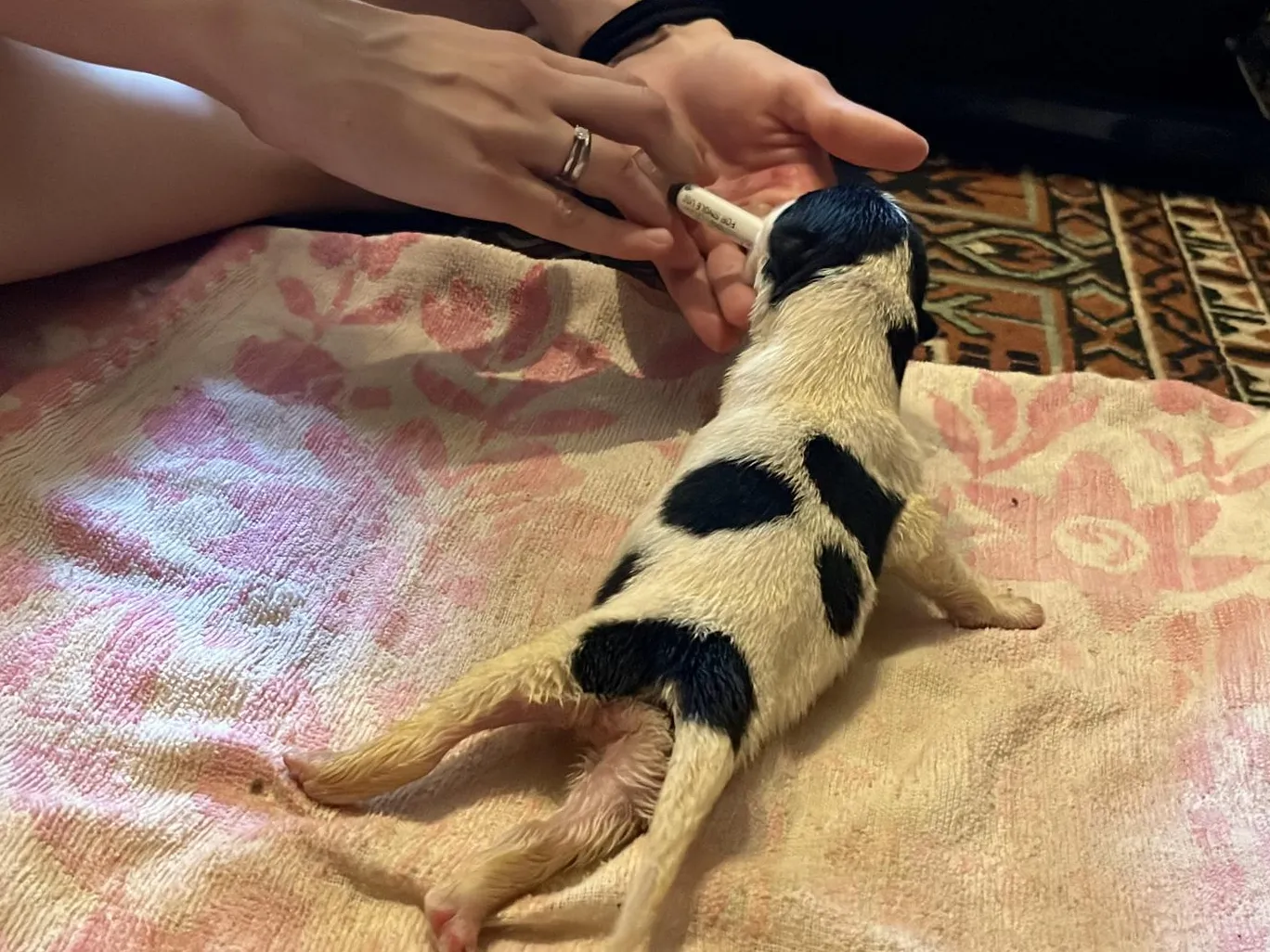 Фото: Анна Тюрюмина&nbsp; &nbsp; &nbsp; &nbsp;&nbsp;