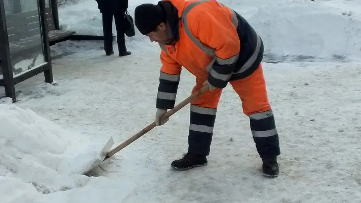 Фото: пресс-службы администрации г.о. Долгопрудный