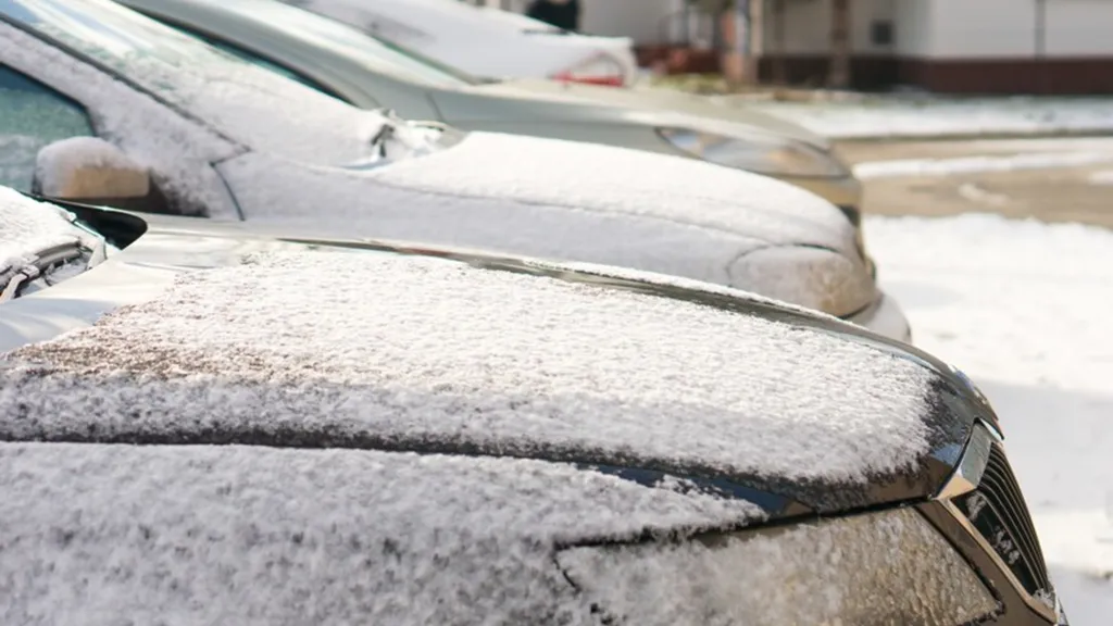 Фото: freepik.com