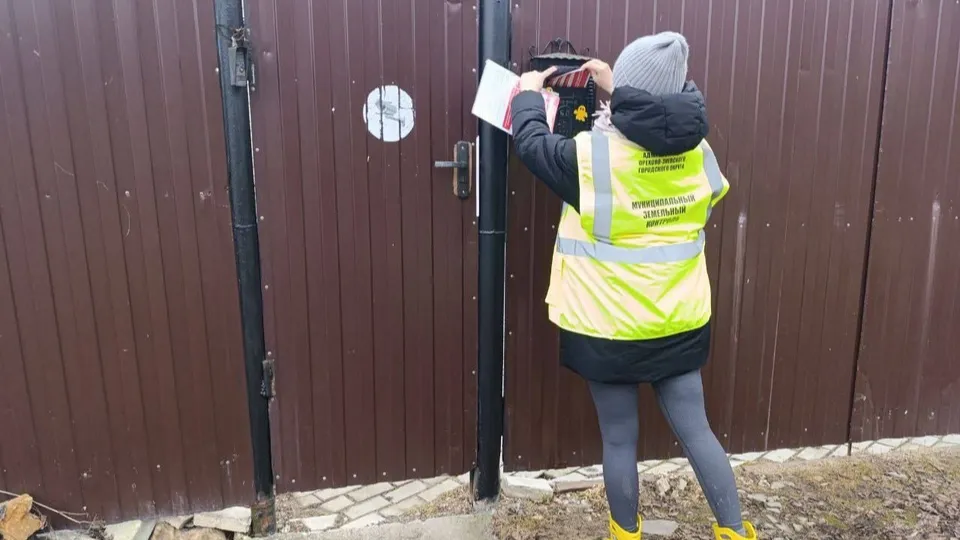 Фото: администрация Орехово-Зуевского г.о.