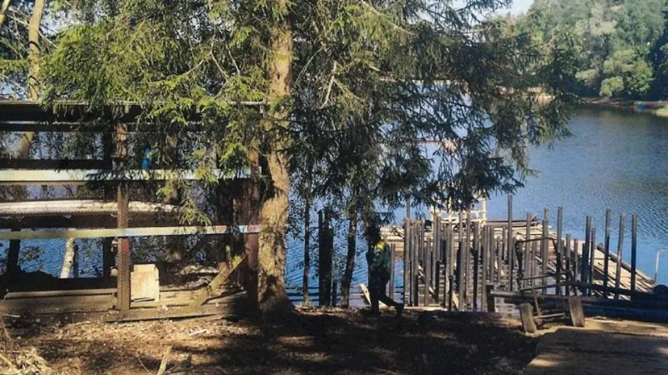 Фото: Министерство экологии и природопользования Московской области