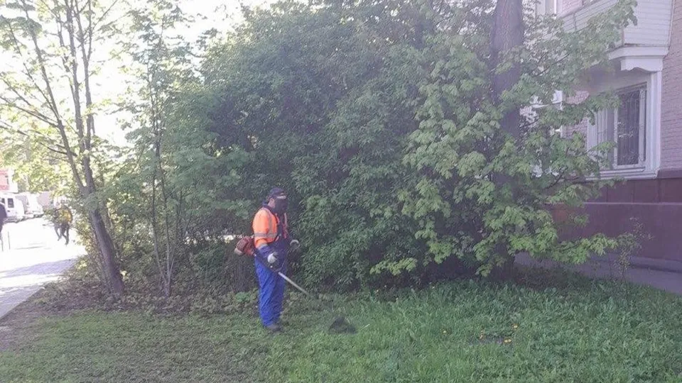 Фото: пресс-служба администрации г.о. Долгопрудный