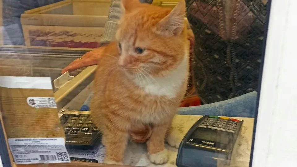 Фото: Татьяна М.