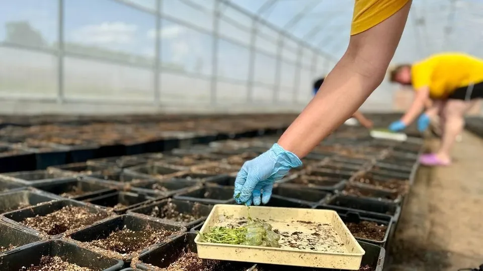 Фото: Министерство сельского хозяйства и продовольствия Московской области