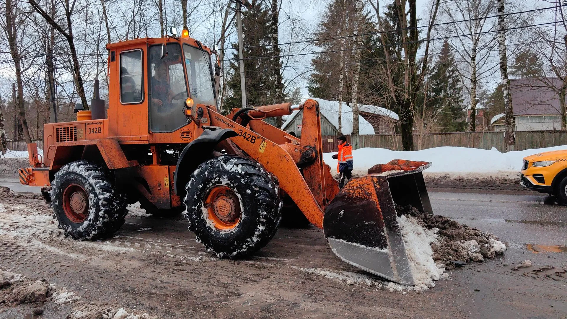 Елена Катасонова