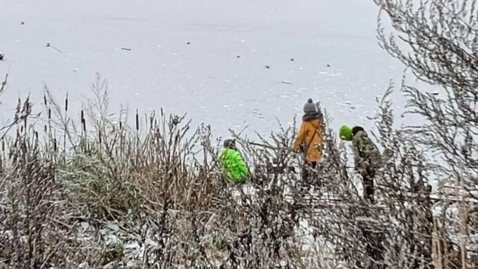 Опасные прогулки детей. Фото: паблик «Видный город». https://t.me/vidno_mos/3415