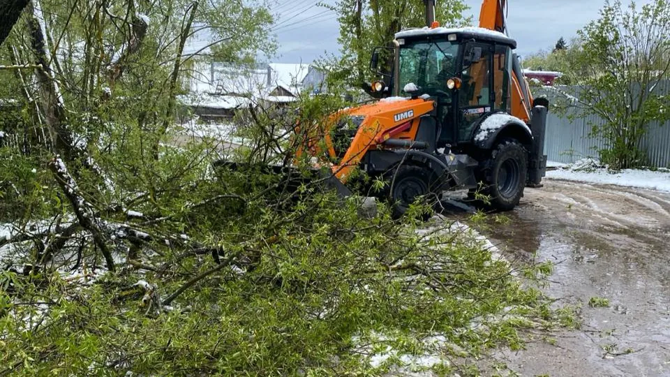 Фото: t.me/alexander_gorbylev_ruza