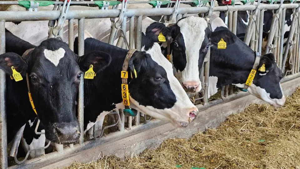 Фото: Агрохолдинг ОСП агро