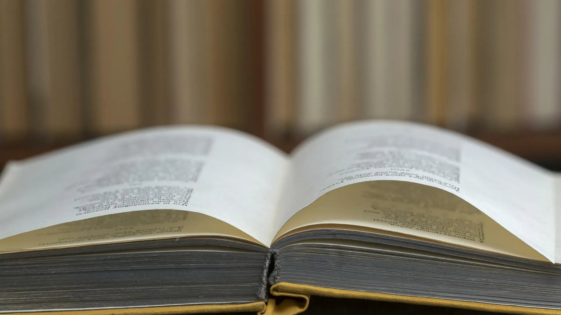 Nikolay Gyngazov/Russian Look