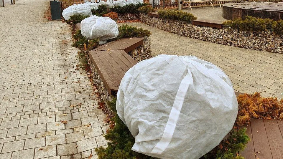 Фото: t.me/zvenigorod_zdraste