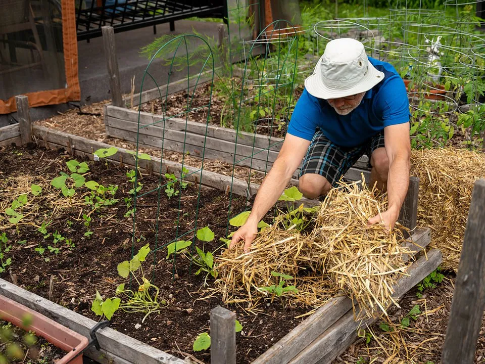 Фото: istockphoto.com/Marc Dufresne