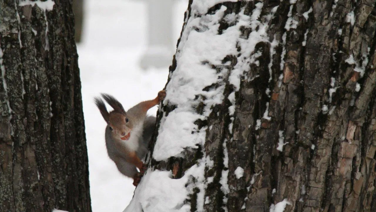 REGIONS/Наталья Дорофеева