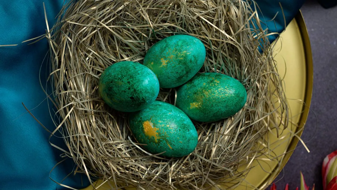 istockphoto.com/Wirestock