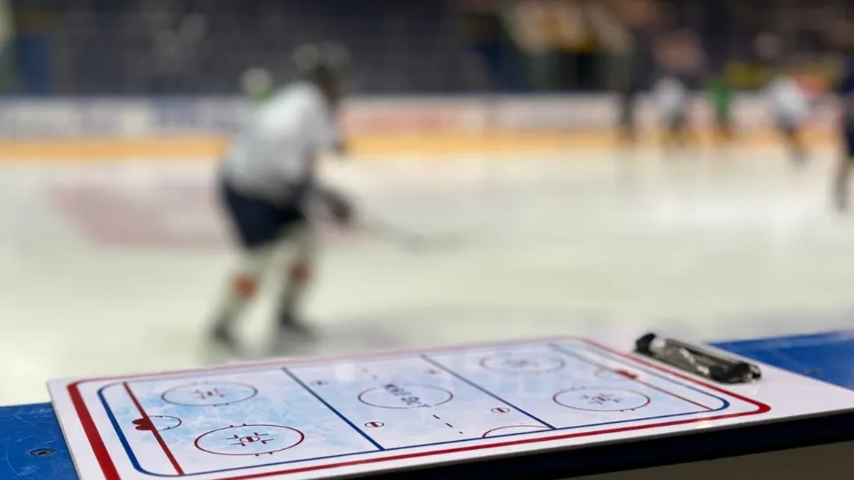 Фото: МедиаБанк Подмосковья/Светлана Плотникова