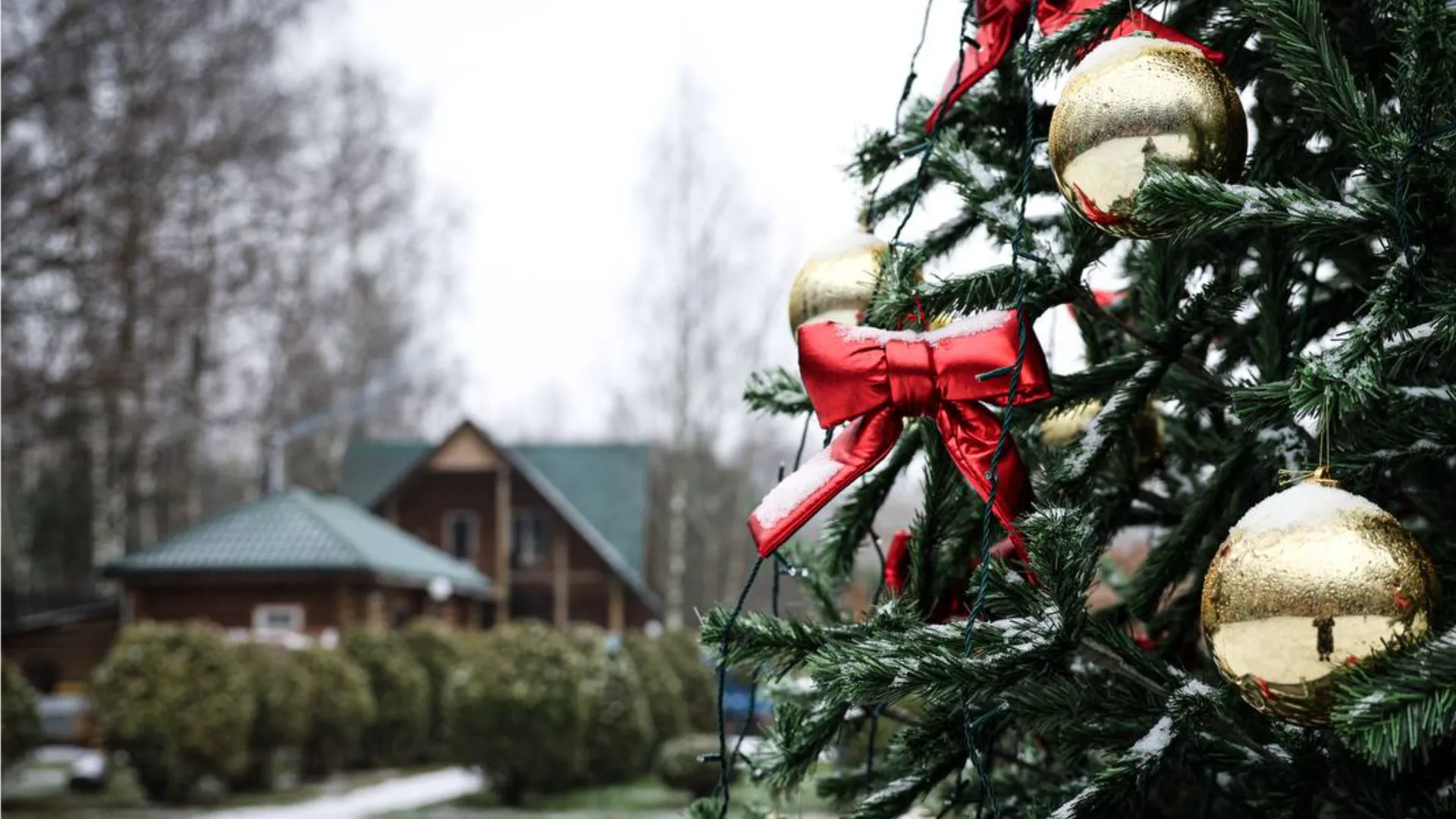 Фото: пресс-служба национального парка «Лосиный остров»