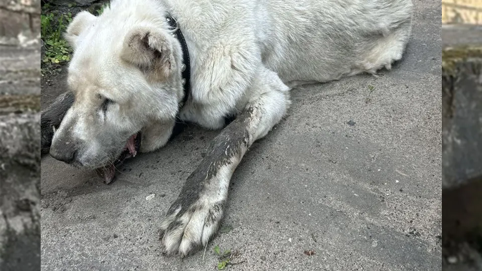 Фото: Управление инфраструктуры Администрации г.о. Воскресенск Московской области