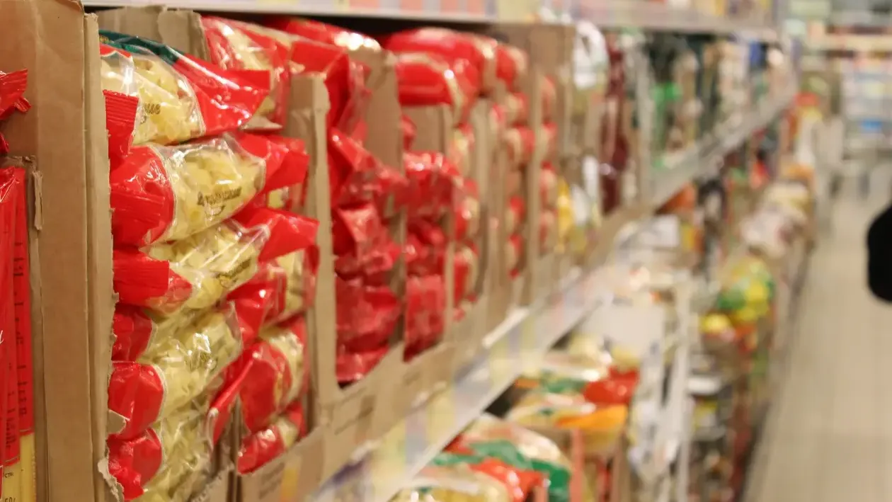 REGIONS/Анастасия Широкая