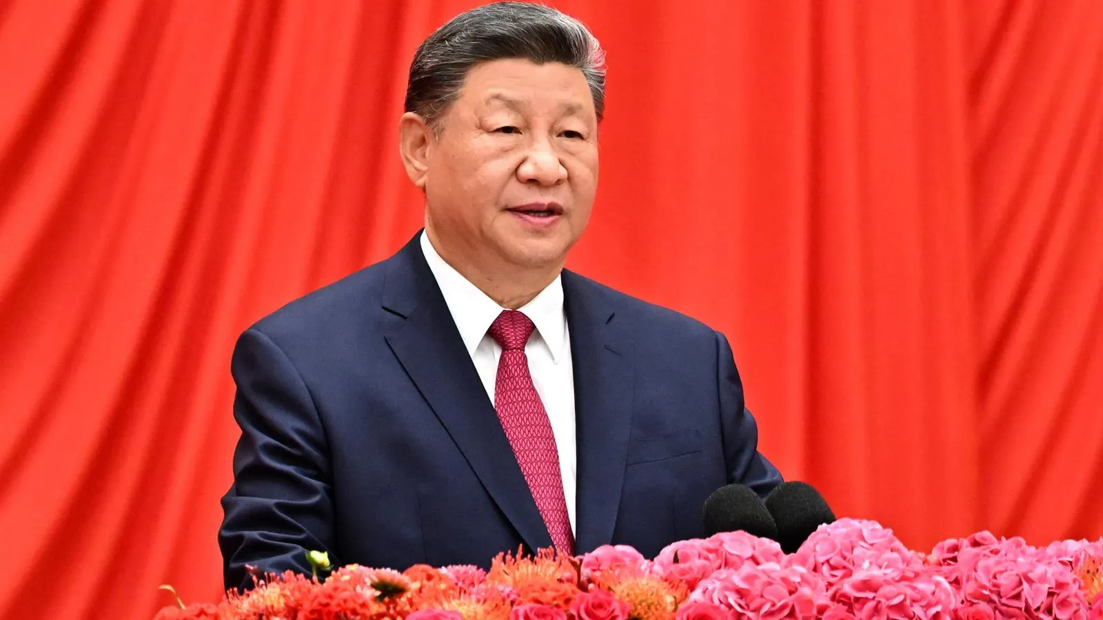 Глава Китая Си Цзиньпин. Yan Yan