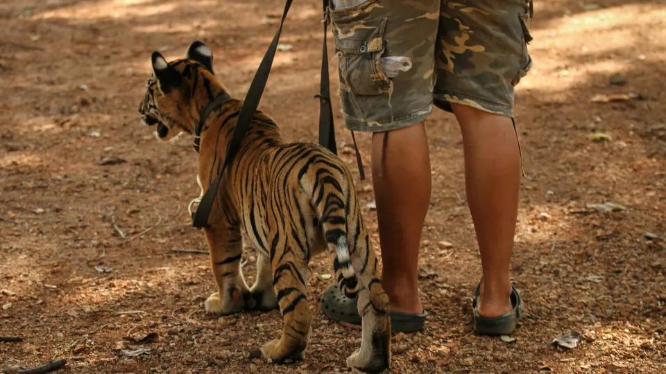 Фото: unsplash.com