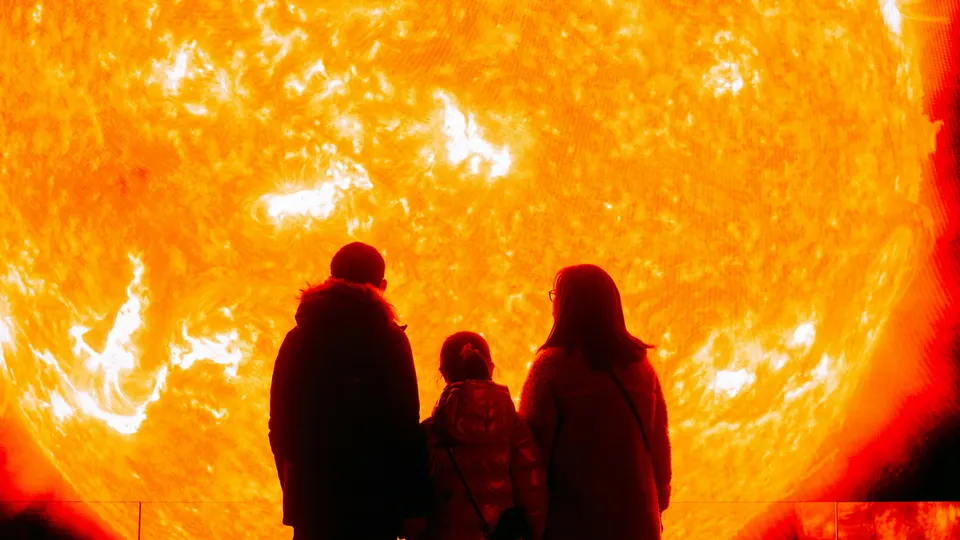 Фото: unsplash.com