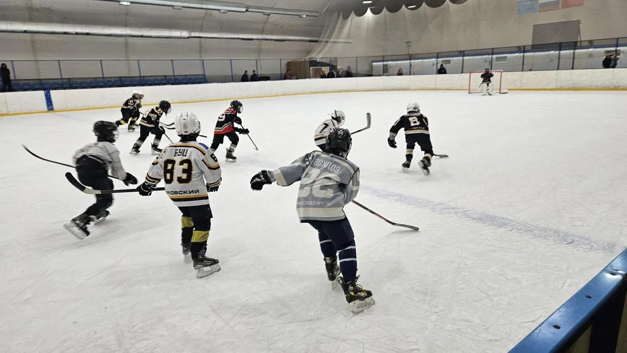 МедиаБанк Подмосковья/Ольга Вельшикаева