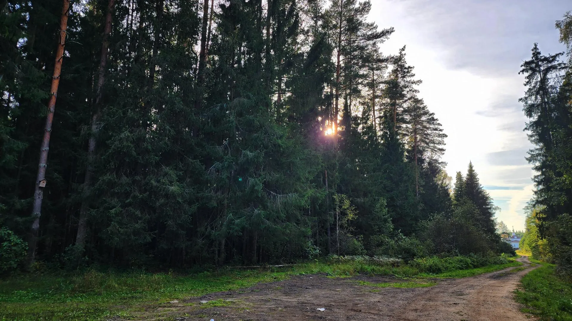 Алена Притула