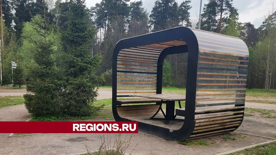 Фото: REGIONS/Валерия Исаева