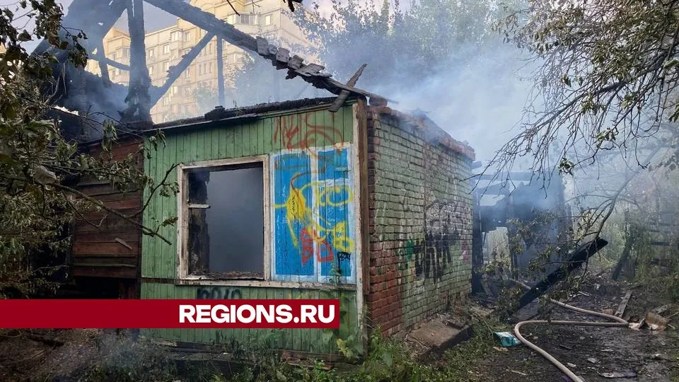 Фото: REGIONS/Кирилл Абрамов