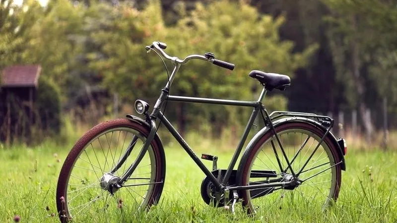 Серийного велосипедного вора задержали в Солнечногорском районе
