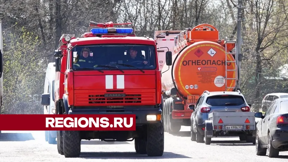 Фото: Дарья Леонова