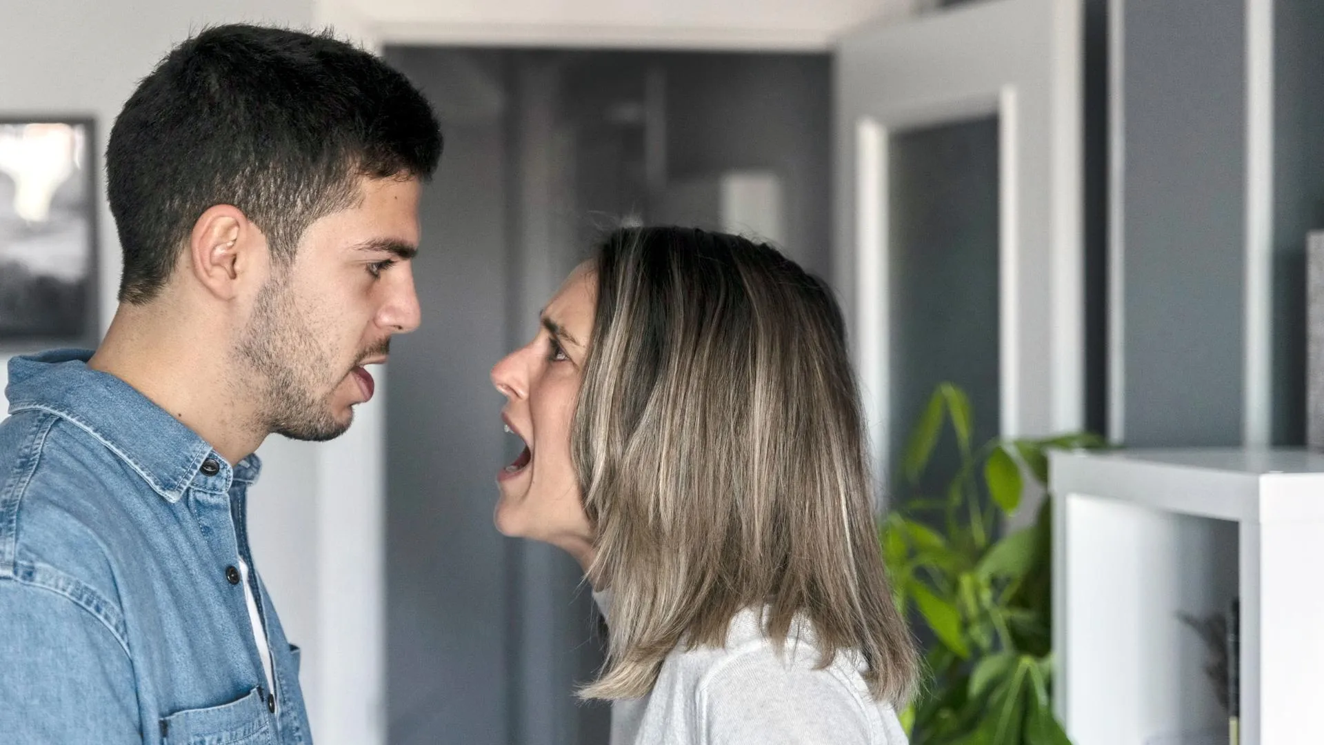 медиасток.рф