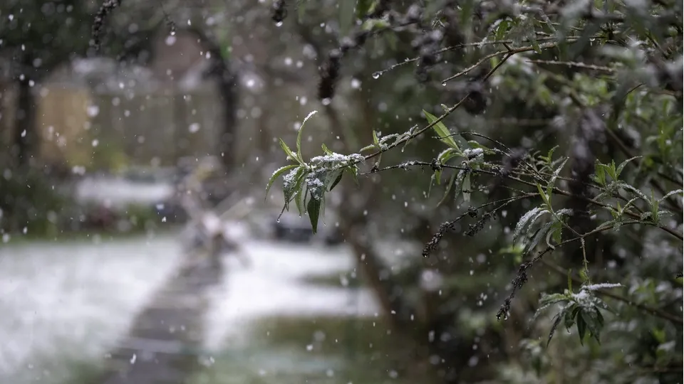 Фото: freepik.com