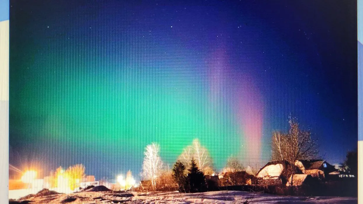 Фото: Ольга Егорова