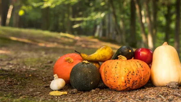 Фото: ru.freepik.com