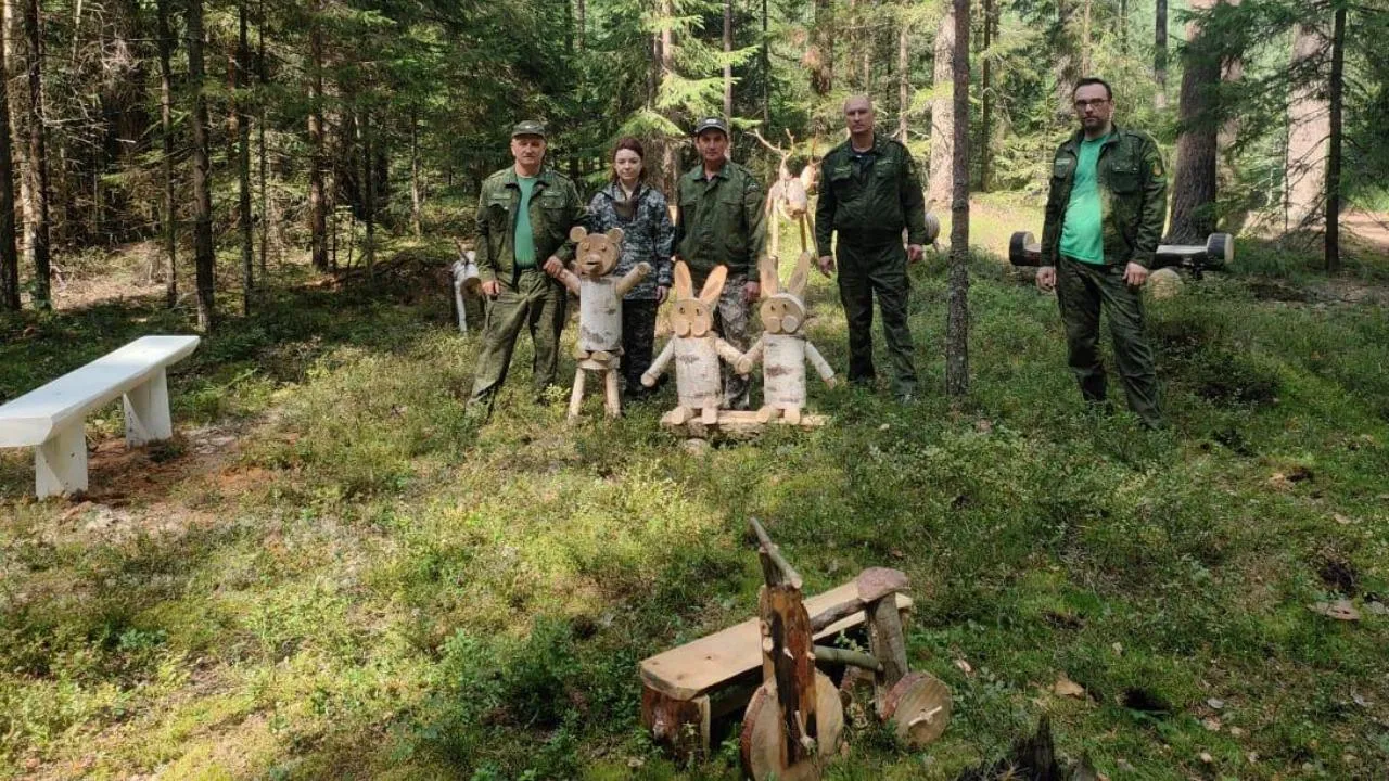 Новую зону отдыха обустроили лесничие в Талдомском городском округе