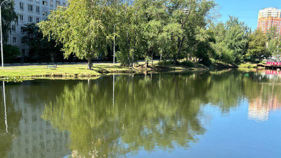 Фото: пресс-служба администрации Одинцовского г.о.