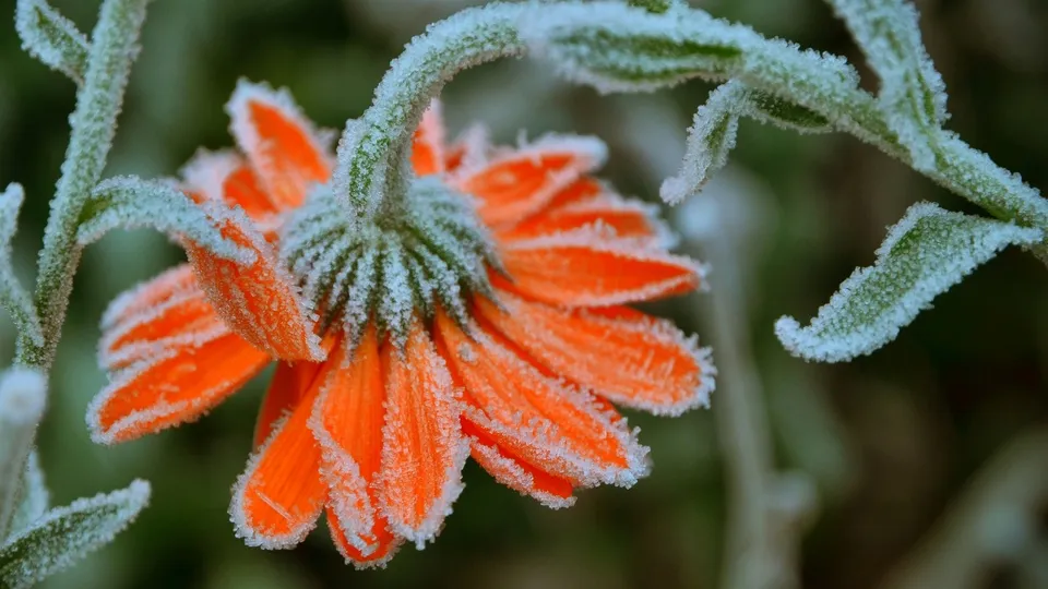 Фото: unsplash.com